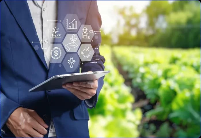 Power BI Dashboards for a Food Crop Grower, Improving Yield Potential by 12%